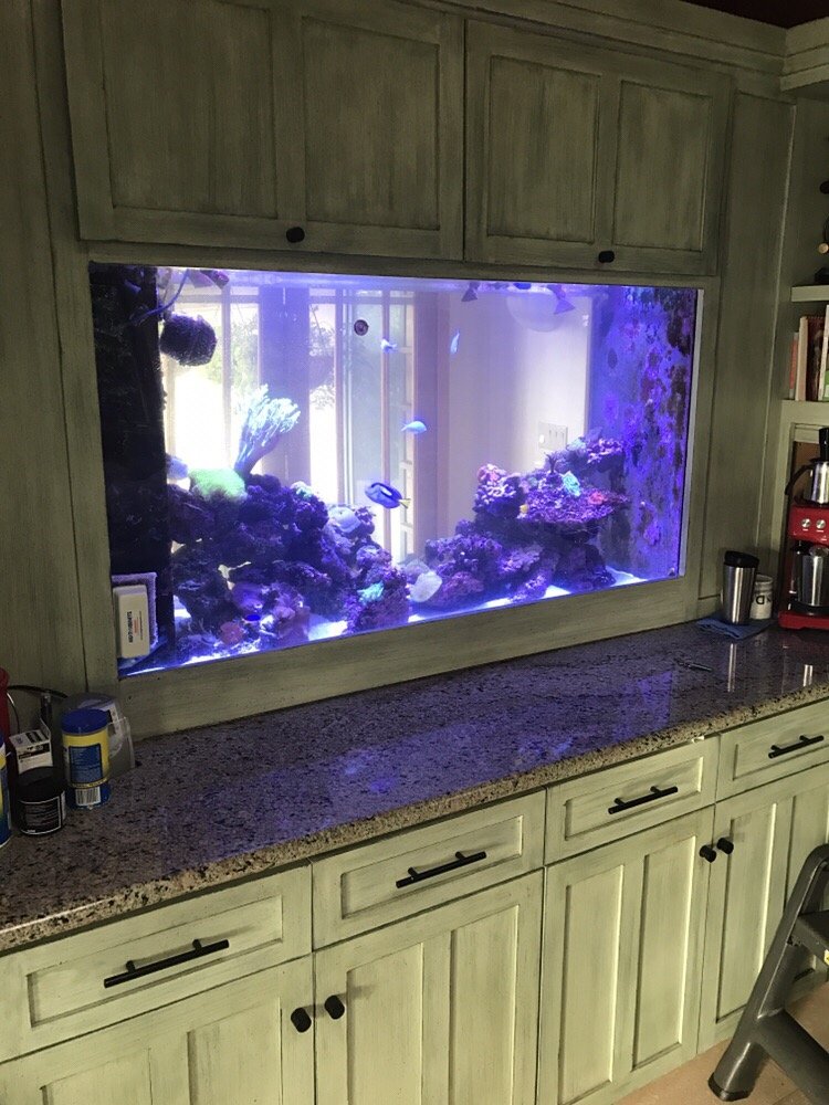 240 gallon residential reef tank