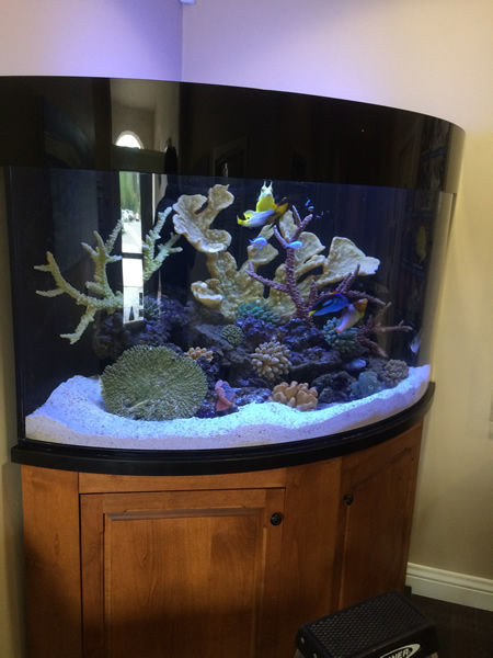 Corner Tank