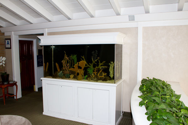Residential Aquarium