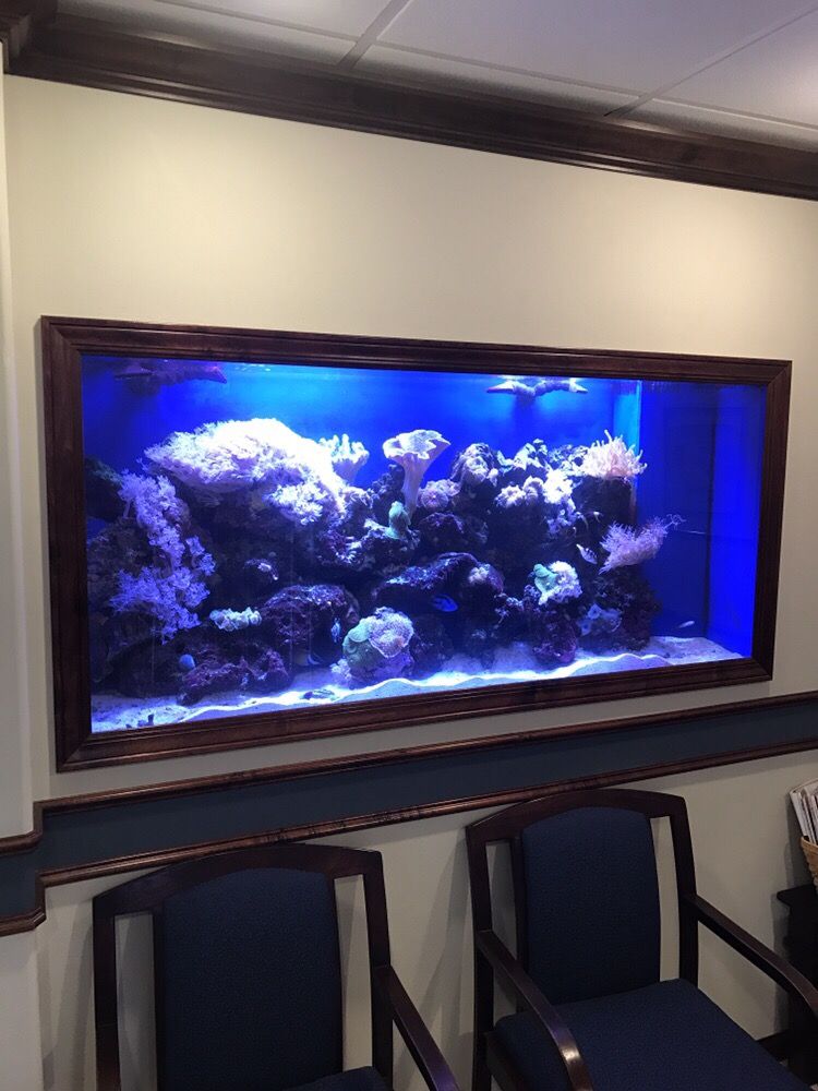 Dental Office 200 gallon reef tank