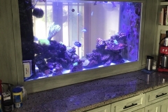 240 gallon residential reef tank