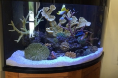 Corner Tank