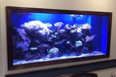 Dental Office 200 gallon reef tank